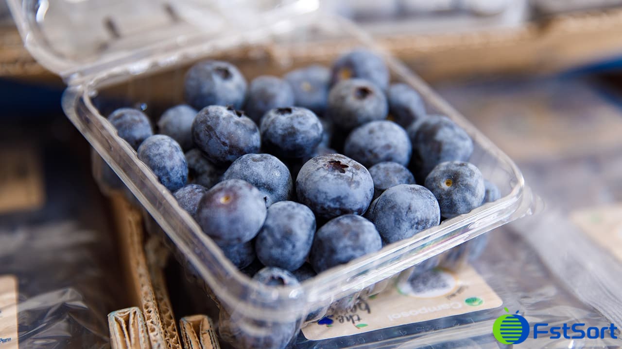 images/1733210592893Peruvian Blueberries.jpg